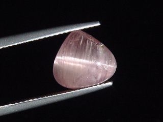 Rubellite Tourmaline cat's eye 5,03 Ct. - pear cabochon Brazil