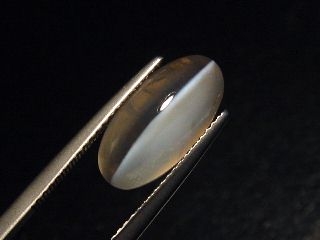Sillimanite cat's eye 7,45 Ct. oval cabochon Sri Lanka
