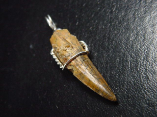 Spinosaurus tooth pendant 925 silver - 4,0 cm - Spinosaur Dinosaur