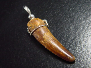 Spinosaurus tooth pendant 925 silver - 4,9 cm - Spinosaur Dinosaur