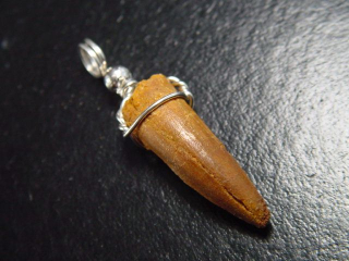 Spinosaurus Zahn Anhänger 925 Silber - 3,9 cm - Spinosaurier Dinosaurier