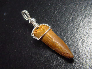 Spinosaurus Zahn Anhänger 925 Silber - 3,9 cm - Spinosaurier Dinosaurier