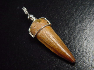 Spinosaurus Zahn Anhänger 925 Silber - 4,8 cm - Spinosaurier Dinosaurier