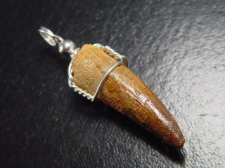 Spinosaurus Zahn Anhänger 925 Silber - 4,2 cm - Spinosaurier Dinosaurier