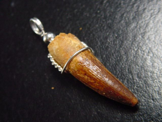 Preview: Spinosaurus Zahn Anhänger 925 Silber - 4,2 cm - Spinosaurier Dinosaurier