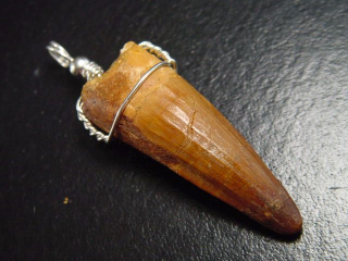 Preview: Spinosaurus Zahn Anhänger 925 Silber - 5,5 cm - Spinosaurier Dinosaurier