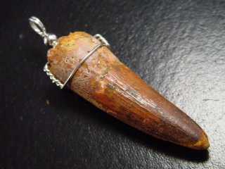 Spinosaurus Zahn Anhänger 925 Silber - 5,9 cm - Spinosaurier Dinosaurier