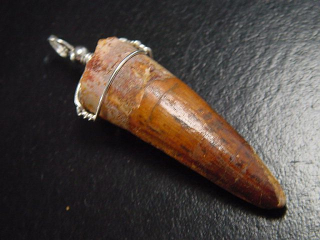 Preview: Spinosaurus Zahn Anhänger 925 Silber - 5,9 cm - Spinosaurier Dinosaurier