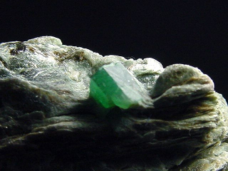 Emerald specimen 59 mm - Habachtal, Austria