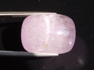 Kunzit Katzenauge 41,47 Ct. - scharfer Effekt - Pakistan