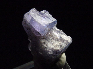 Tansanit Kristall 14 mm Merelani, Tansania