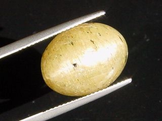 Apatit Katzenauge 16,40 Ct. - Oval Cabochon - Brasilien