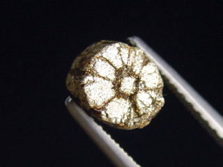 Trapiche Cordierit, Cerasit / Kirschblütenstein 6,5 mm selten Kyoto, Japan