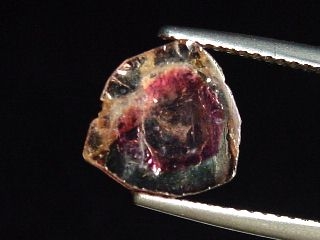 Tourmaline bicolor 2,47 Ct. crystal slice Brazil