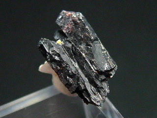 Neptunit Kristall 14 mm - San Benito Co., Kalifornien, USA