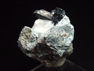 Preview: Neptunit Stufe 47 mm - San Benito Co., Kalifornien, USA