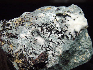 Neptunit Stufe 53 mm - San Benito Co., Kalifornien, USA