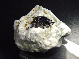 Preview: Neptunit Stufe 53 mm - San Benito Co., Kalifornien, USA