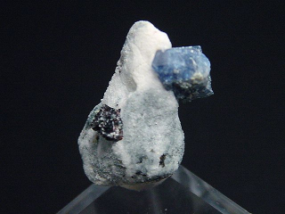 Preview: Benitoit mit Neptunit Stufe 18 mm - San Benito Co., Kalifornien, USA