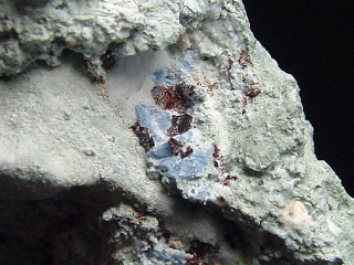 Benitoit mit Neptunit Stufe 45 mm - San Benito Co., Kalifornien, USA