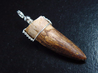 Spinosaurus tooth pendant 925 silver - 5,0 cm - Spinosaur Dinosaur