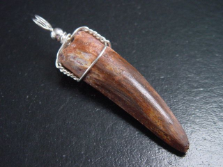 Spinosaurus tooth pendant 925 silver - 5,7 cm - Spinosaur Dinosaur