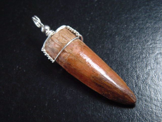 Spinosaurus tooth pendant 925 silver - 5,8 cm - Spinosaur Dinosaur