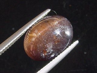 Iolit / Cordierit Katzenauge 7,33 Ct. Oval Cabochon