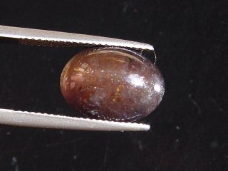 Iolit / Cordierit Katzenauge 7,33 Ct. Oval Cabochon