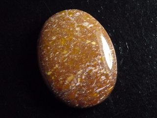 Jasper 32,18 Ct. oval cabochon Brazil