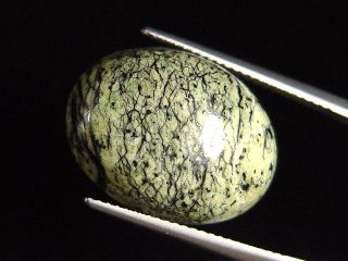 Nephrite Jade in Serpentinite 14,59 Ct. cabochon Canada