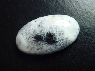 Dendritenopal 43,12 Ct. Oval Cabochon Indien