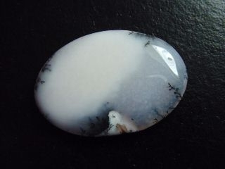 Dendritenopal 43,80 Ct. Oval Cabochon Indien