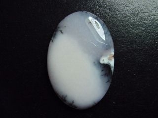 Dendritenopal 43,80 Ct. Oval Cabochon Indien