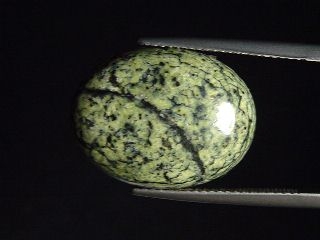 Nephrite Jade in Serpentinite 12,61 Ct. cabochon Canada