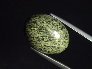 Nephrite Jade in Serpentinite 15,18 Ct. cabochon Canada