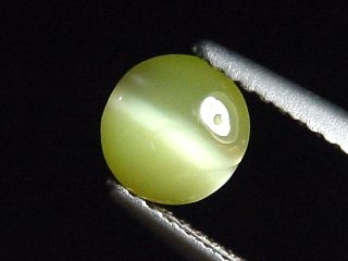 Chrysoberyl cat's eye 0,88 Ct. oval cabochon Sri Lanka