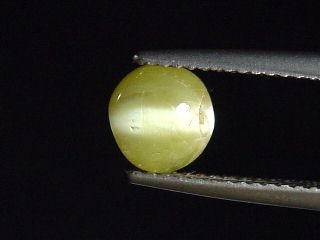 Chrysoberyl cat's eye 1,27 Ct. oval cabochon Sri Lanka