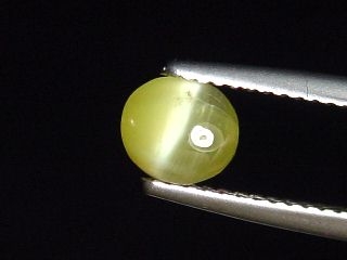 Chrysoberyl cat's eye 1,04 Ct. oval cabochon Sri Lanka