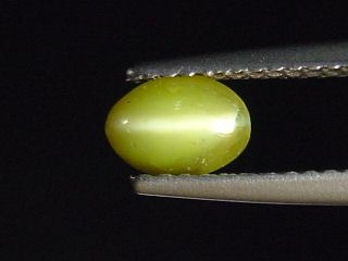 Chrysoberyl cat's eye 0,85 Ct. oval cabochon Sri Lanka