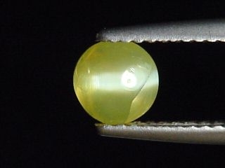 Chrysoberyl cat's eye 0,98 Ct. round cabochon Sri Lanka