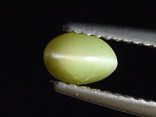 Chrysoberyl cat's eye 0,69 Ct. oval cabochon Sri Lanka