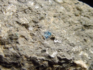 Hauyne / Hauynite specimen 48 mm - Laacher See, Eifel, Germany