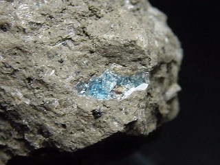 Hauyne / Hauynite specimen 32 mm - Laacher See, Eifel, Germany