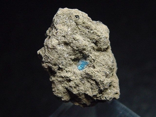 Hauyne / Hauynite specimen 20 mm - Laacher See, Eifel, Germany