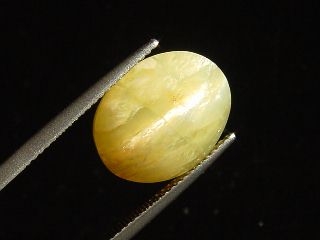 Opal Katzenauge 7,67 Ct. Oval Cabochon Brasilien