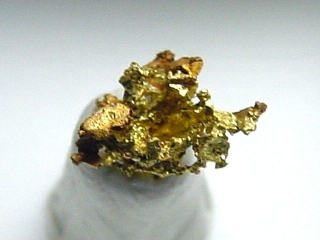 Gold crystalline 6,5 mm - Brusson, Val d'Aosta, Italy
