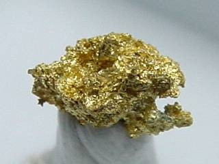 Gold crystalline 6,5 mm - Brusson, Val d'Aosta, Italy