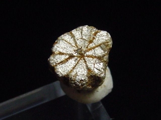 Trapiche Cordierit, Cerasit / Kirschblütenstein 6,5 mm selten Kyoto, Japan