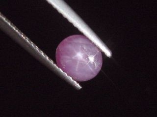 Sternrubin 1,01 Ct. Naturfarbe 6 x 5,5 mm Oval Cabochon